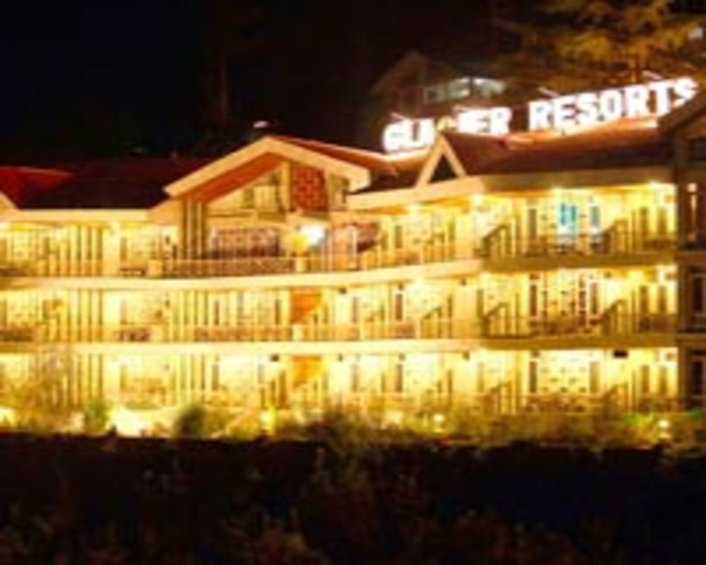 Hotel Glacier Resort Manali  Bagian luar foto